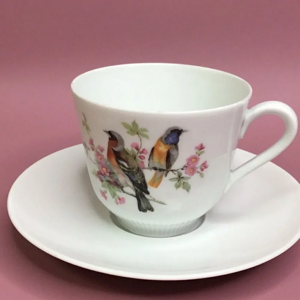 Schumann Arzberg White/Pink Birds Theme Tea Cup &‎ Saucer Set  Bavaria Germany